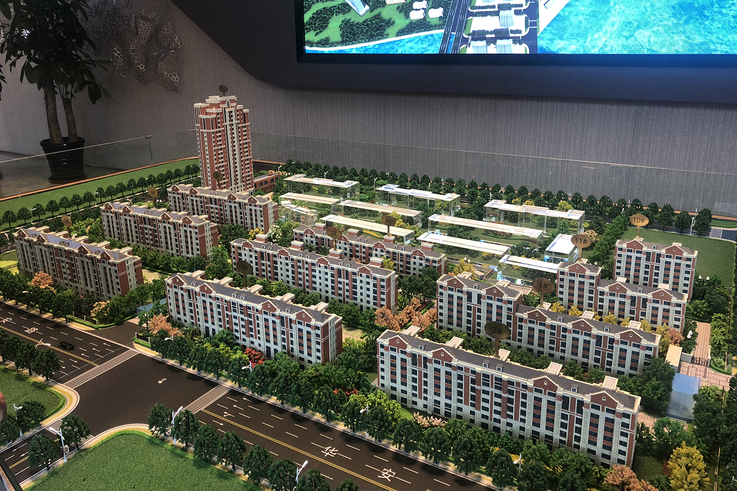 金科中海金海湾 沙盘图